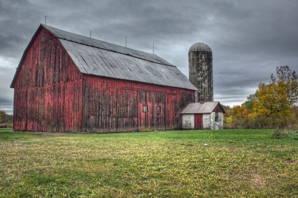 Barn Wood Restoration
