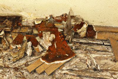 Understanding Wood Restoration Costs — Cost of Wood Restoration